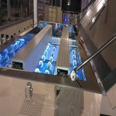 COLD UV curing system 