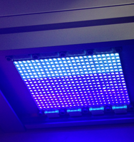 DPL LED curing system